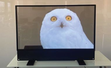 Display trasparente OLED ultra sottile personalizzato per la pubblicità interna